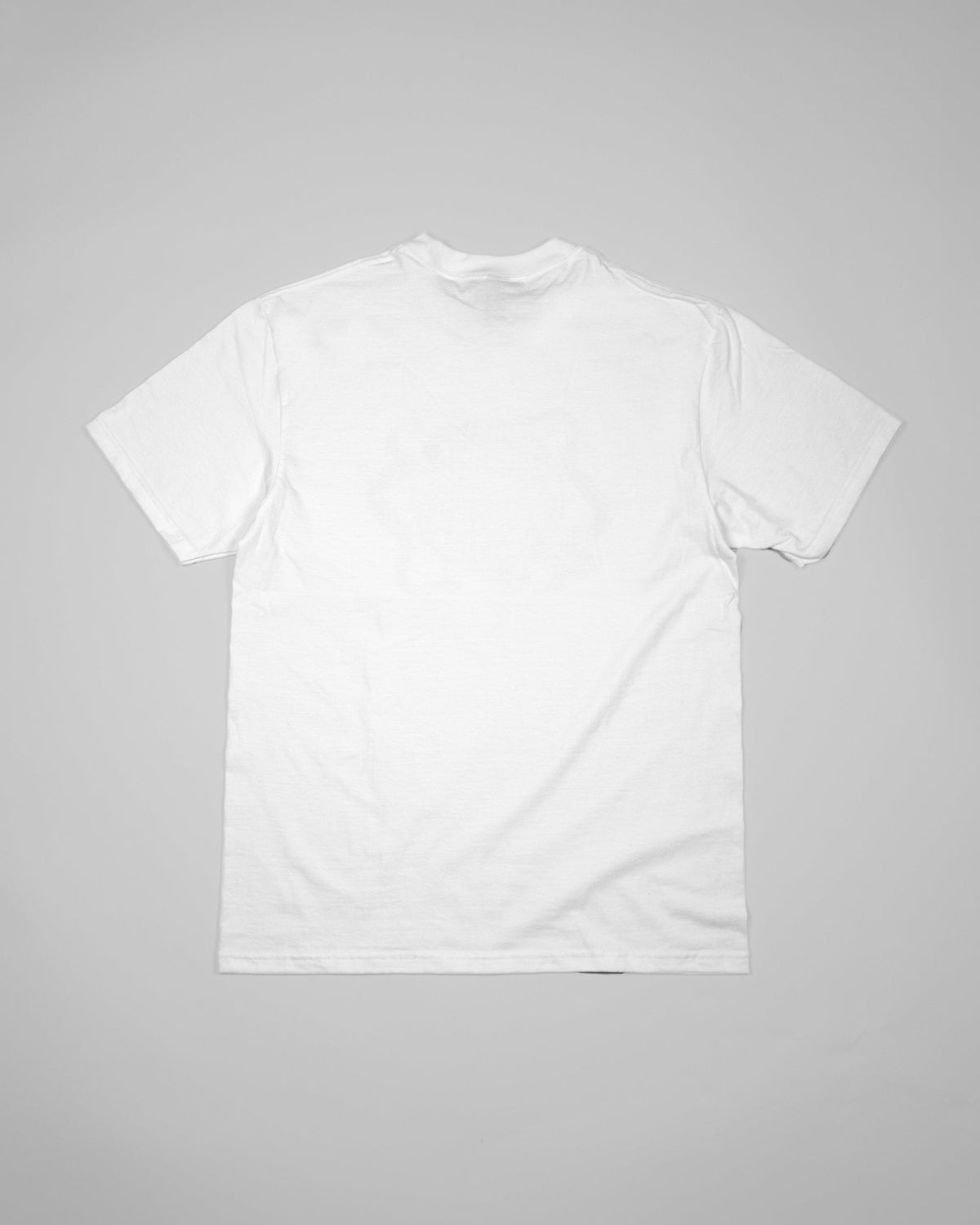 TAYLOR T-SHIRT WHITE